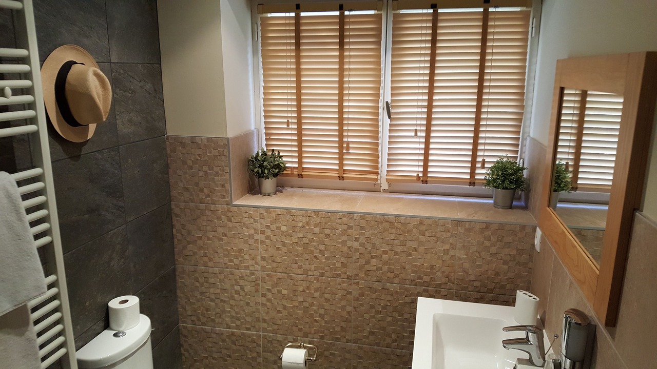 Photo of Bathroom in Neuville-de-Poitou