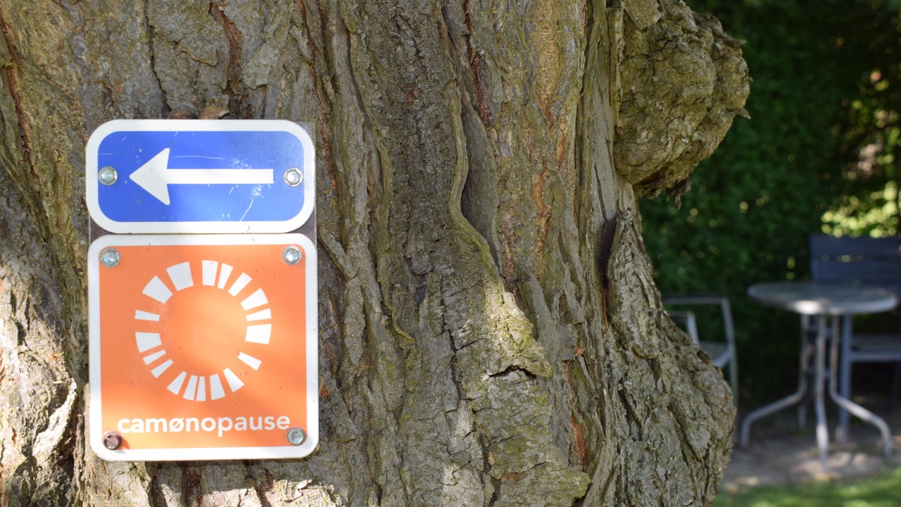 Photo of Outdoor in Stege