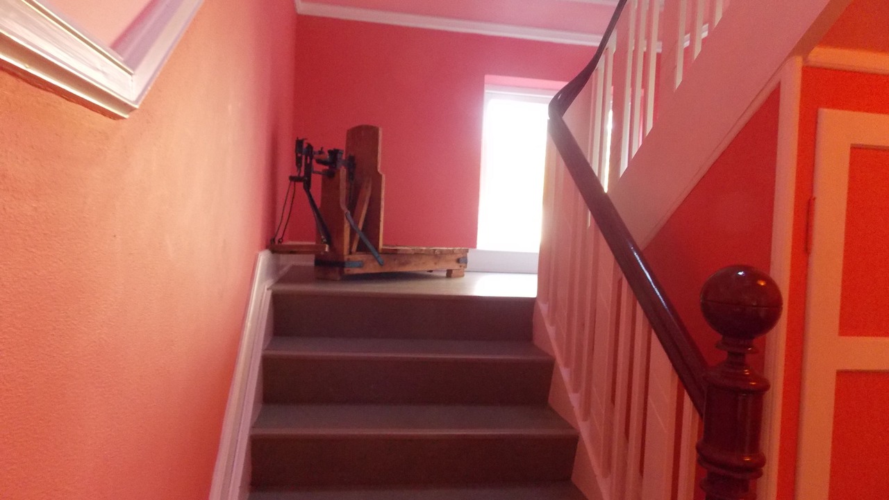 Photo of Others in Stege