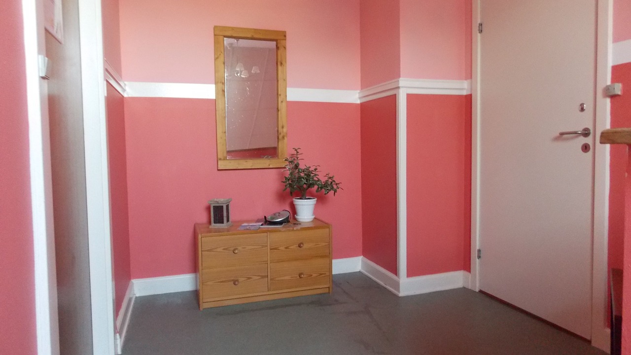 Photo of Others in Stege