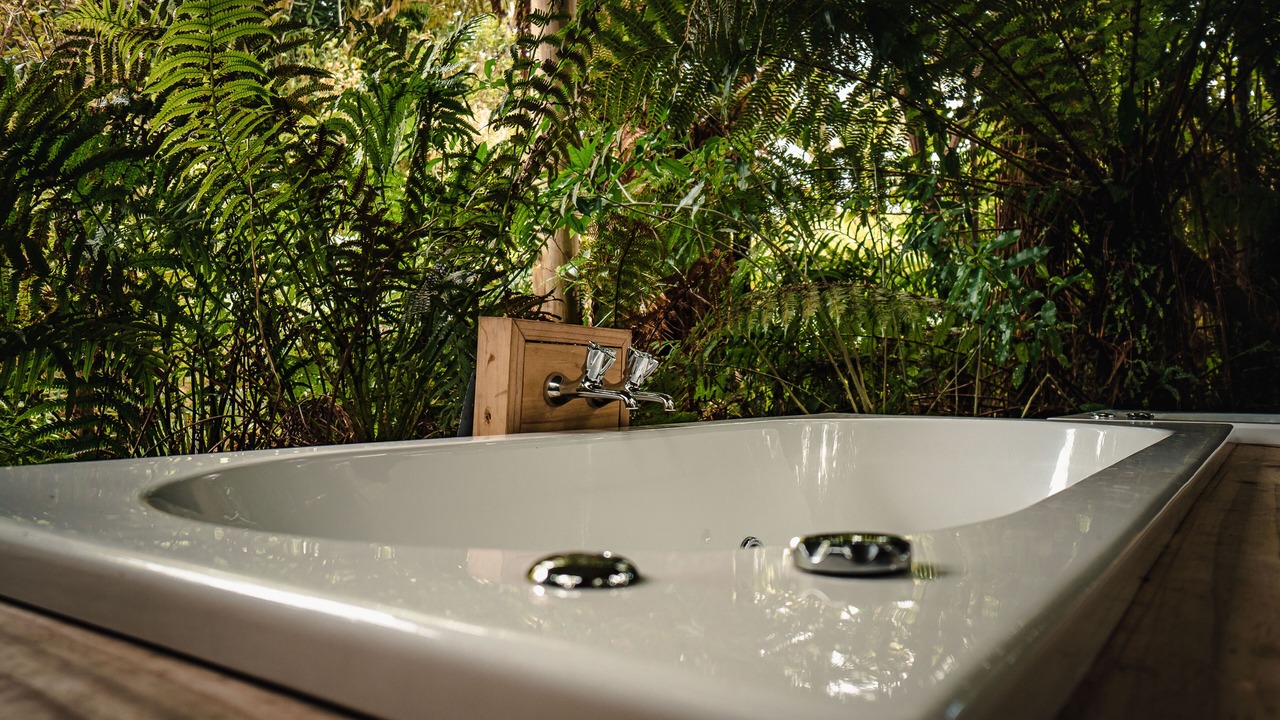 Photo of Others in Franz Josef Glacier