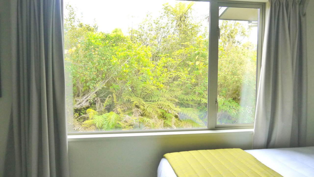 Photo of Others in Franz Josef Glacier