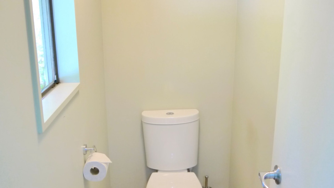 Photo of Others in Franz Josef Glacier