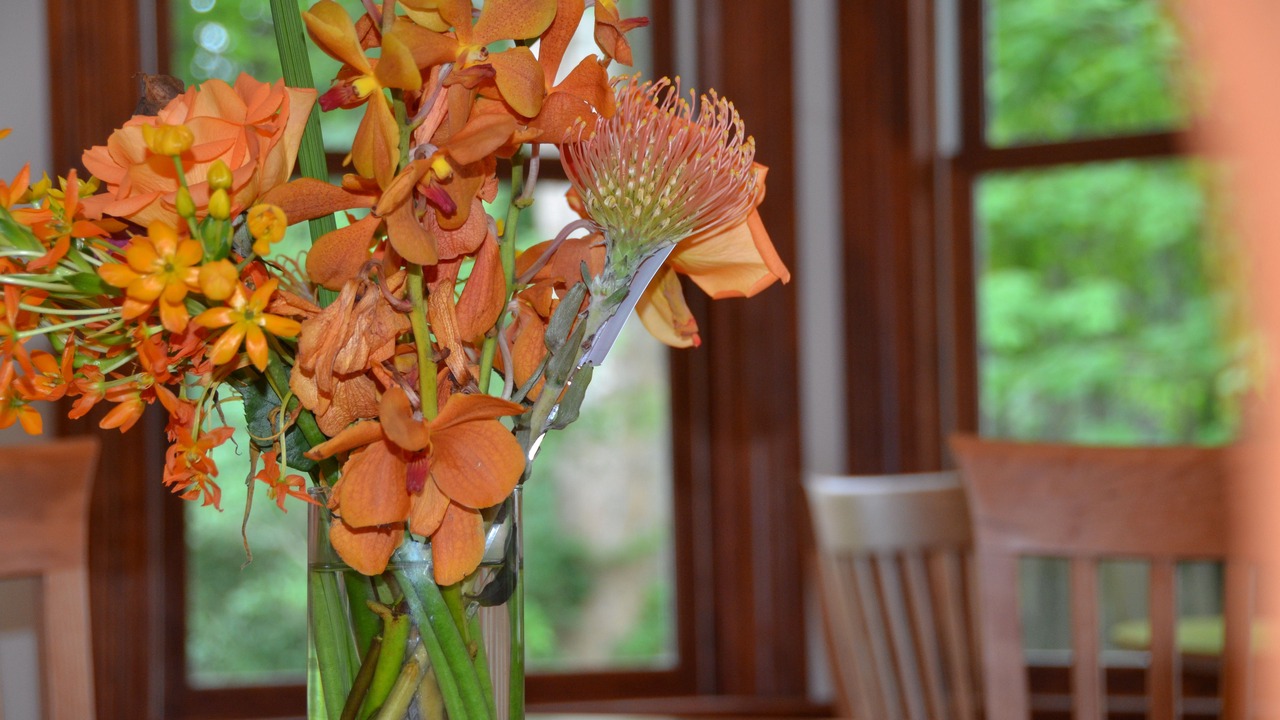 Photo of Others in Amagansett North