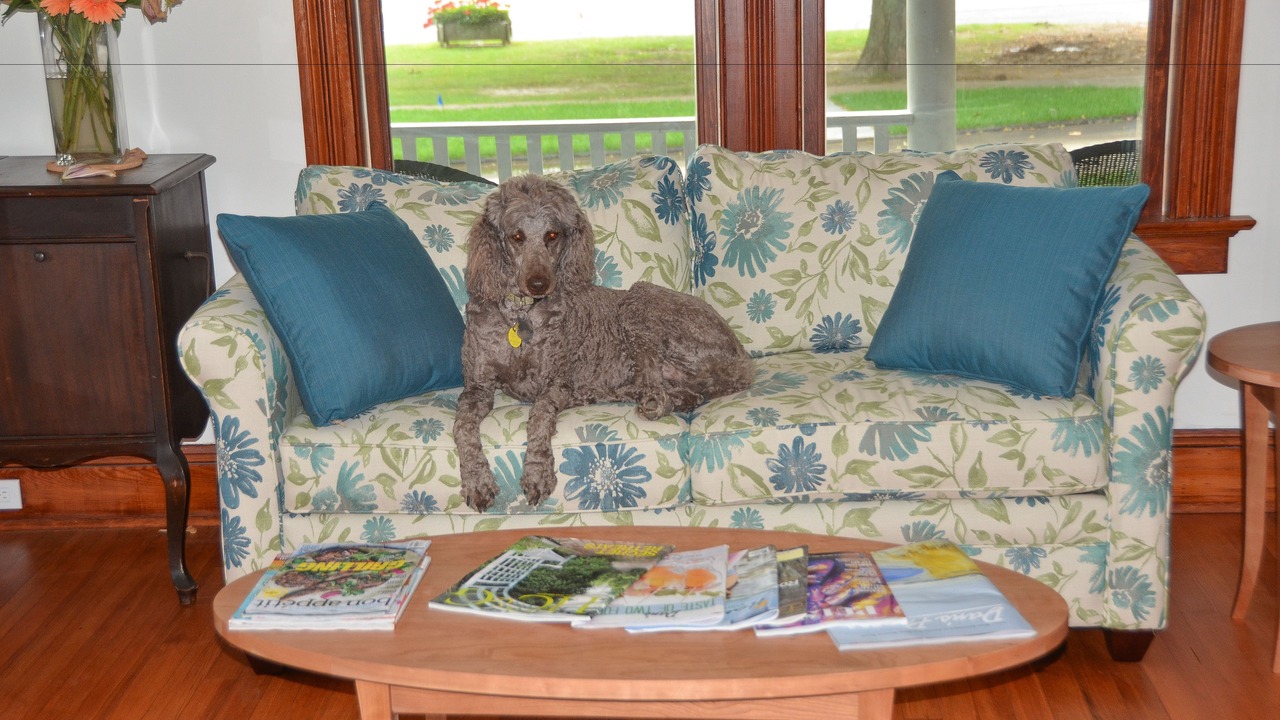 Photo of Others in Amagansett North