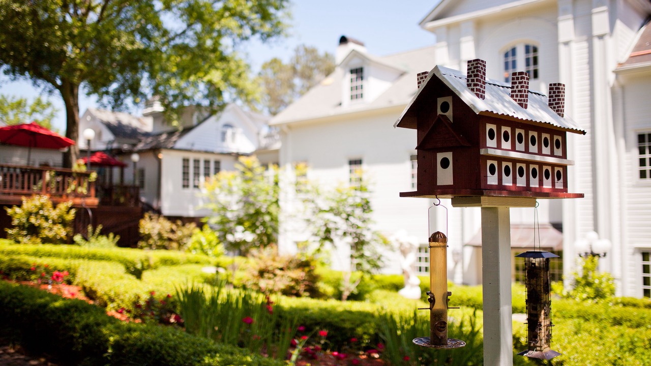 Photo of Outdoor in Greater Belhaven