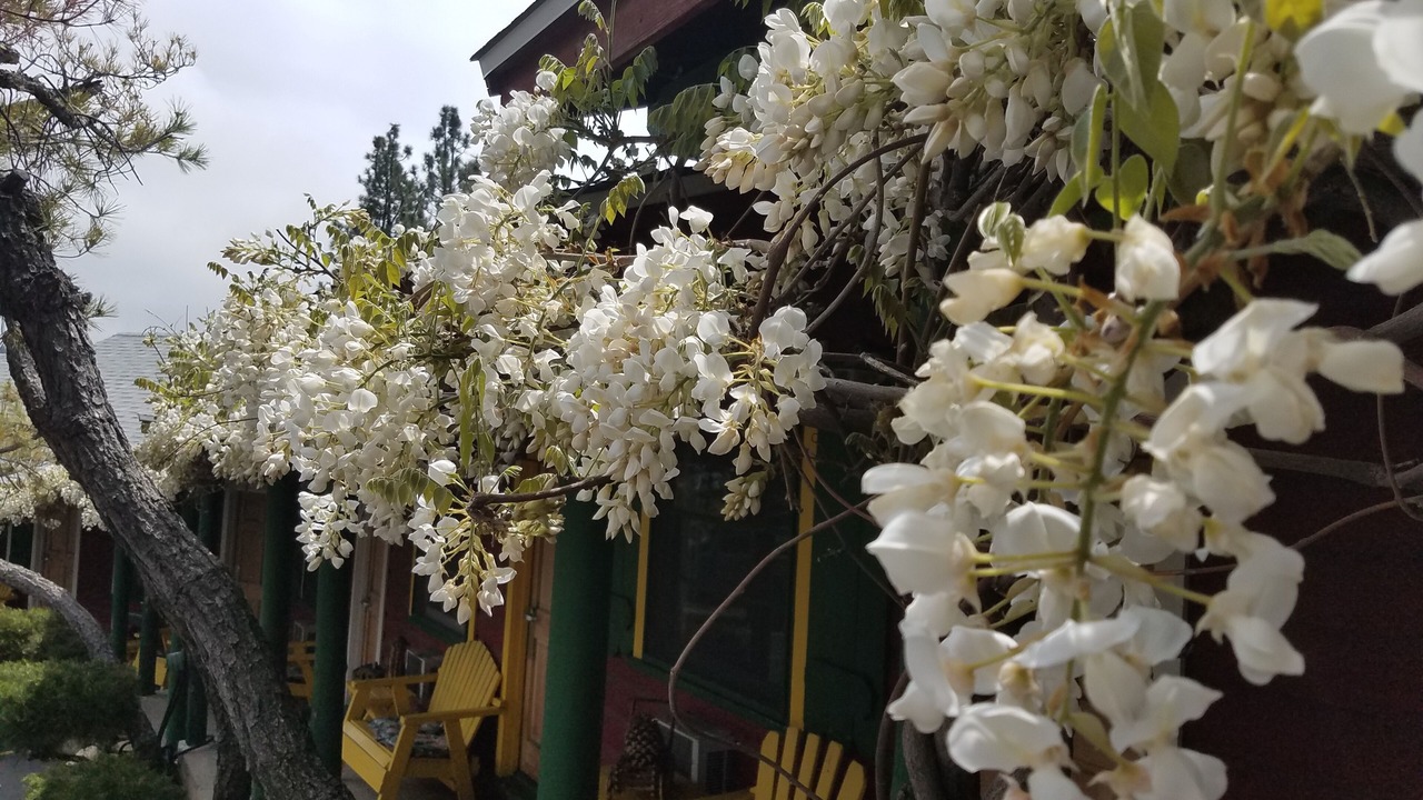 Photo of Outdoor in Idyllwild