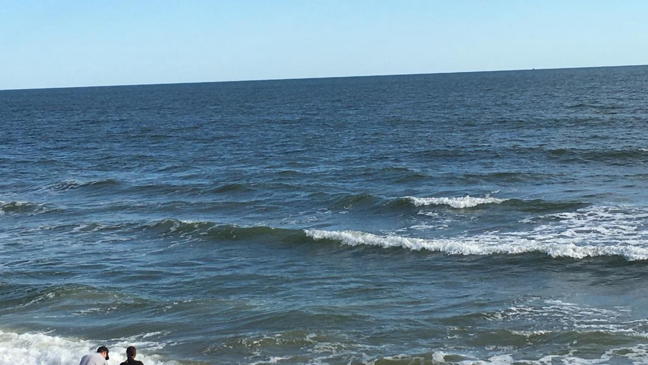 Photo of Others in Flagler Beach