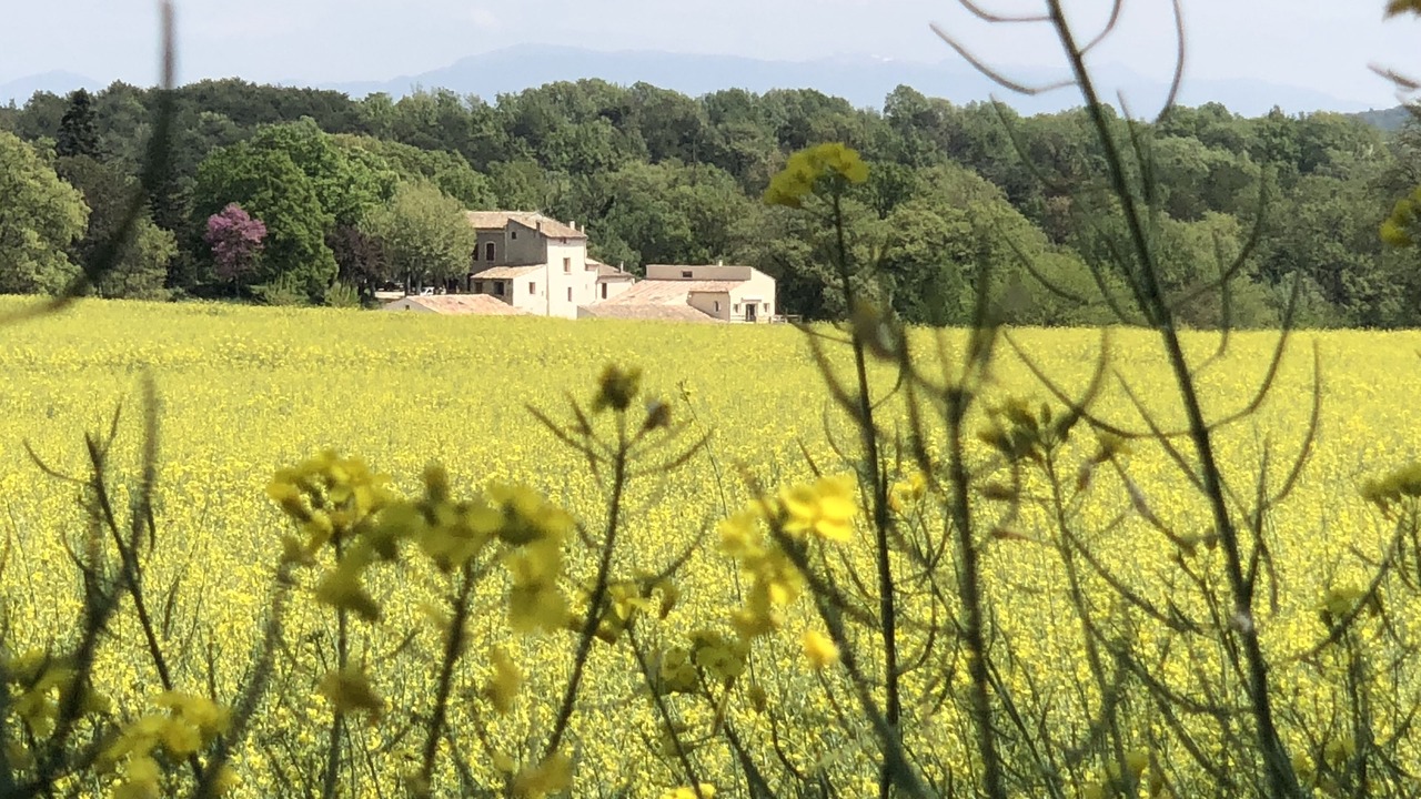 Photo of Outdoor in Forcalquier