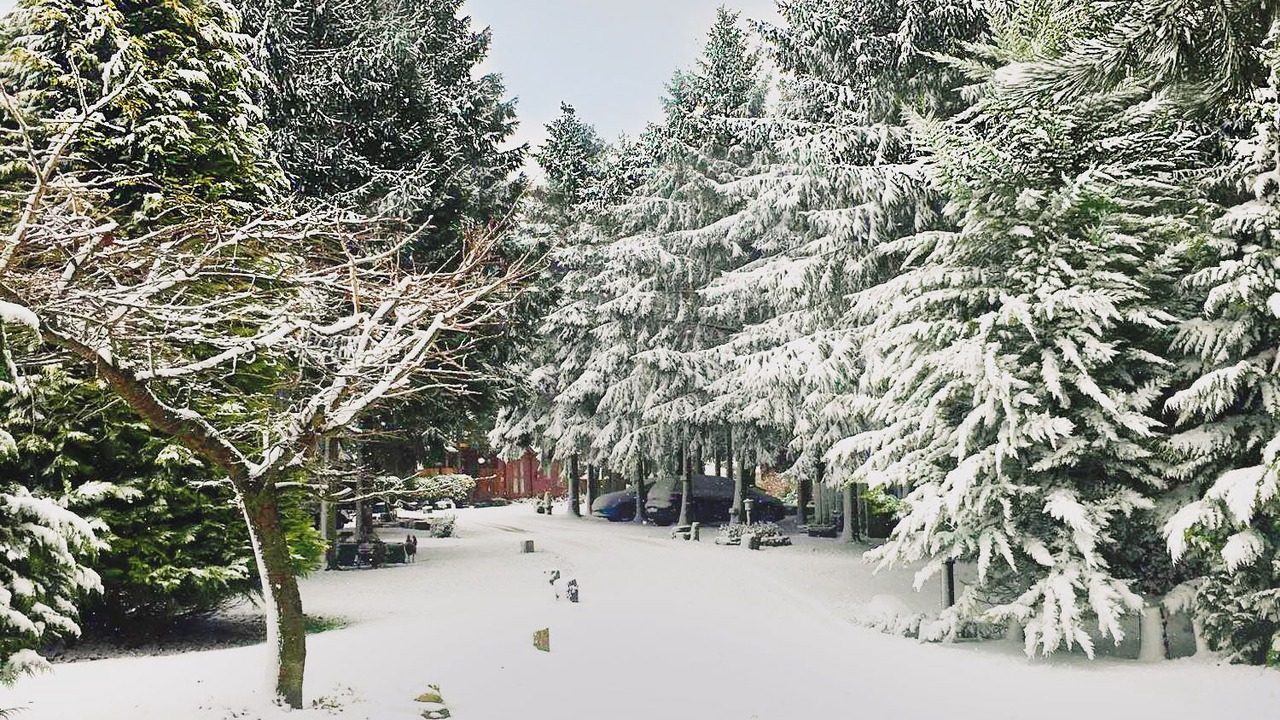 Photo of Outdoor in Pickering