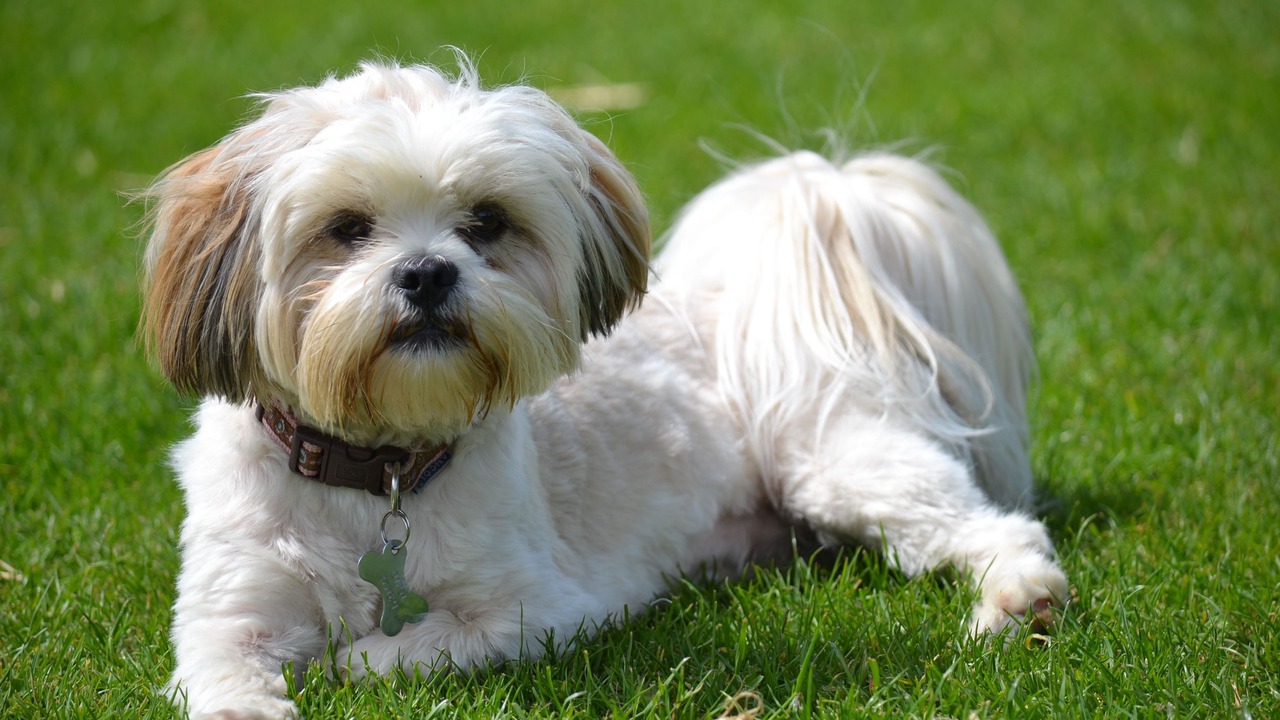 Photo of Others in Pickering