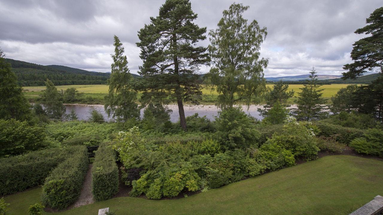 Photo of Others in Aboyne