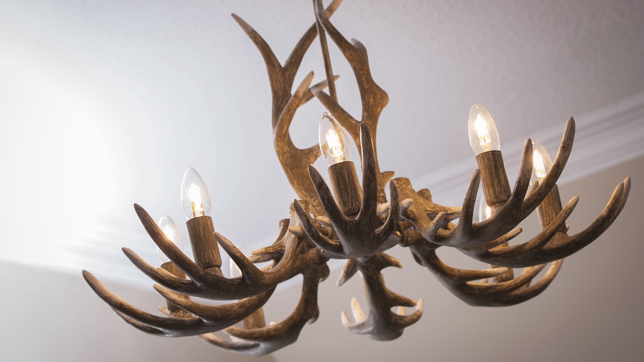 Photo of Bedroom in Aboyne