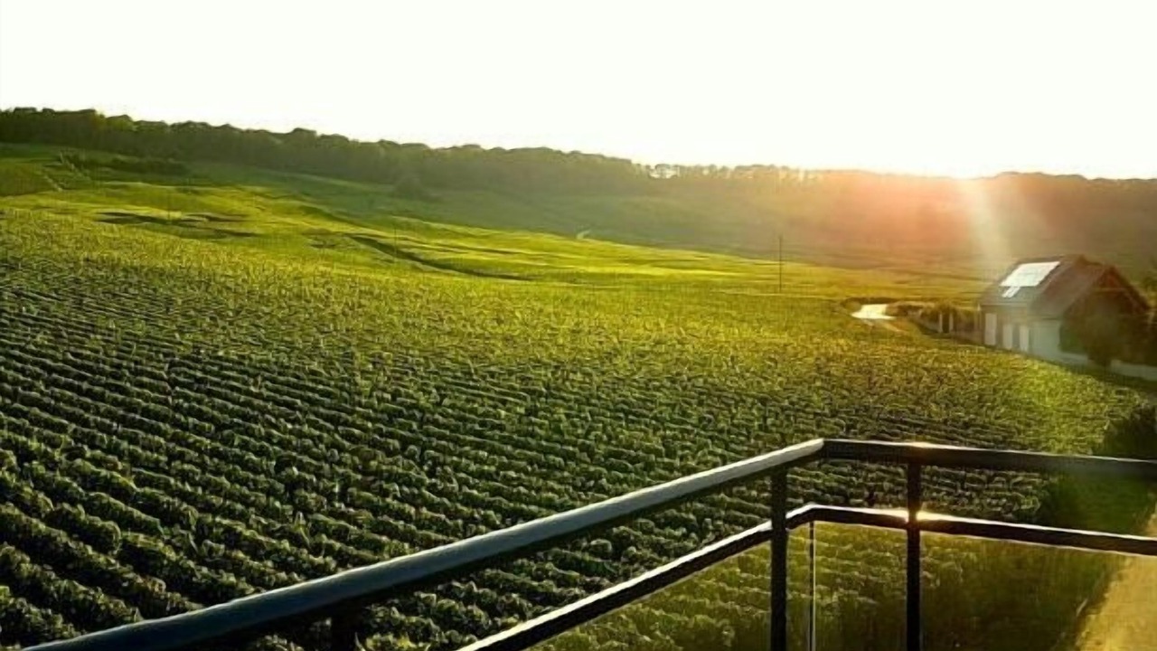 Photo of Others in Chamery