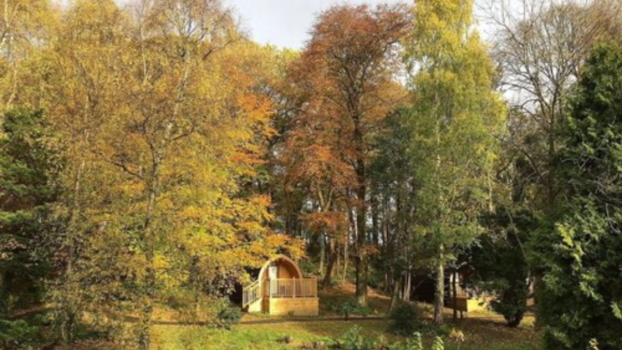 Photo of Bedroom in Alloa
