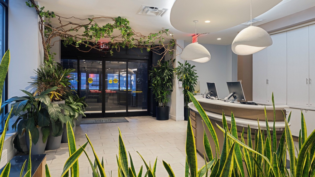 Photo of Outdoor in Boerum Hill