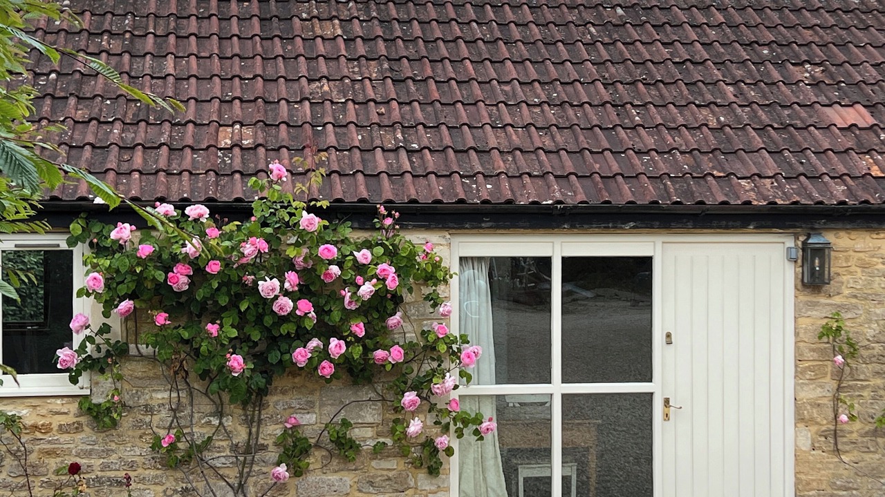 Photo of Outdoor in Whitley