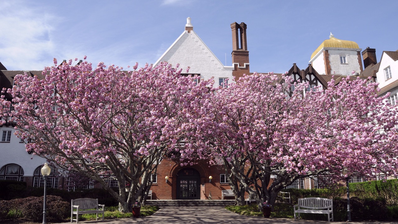 Photo of Outdoor in Montauk