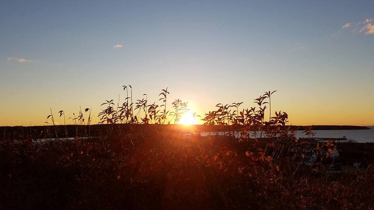 Photo of Others in Montauk