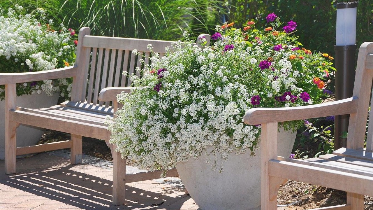 Photo of Outdoor in Montauk