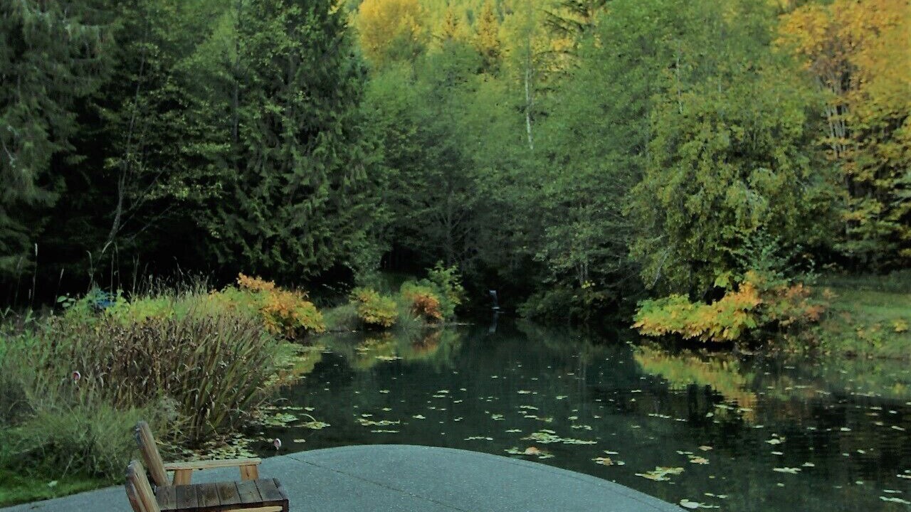 Photo of Others in Ashford