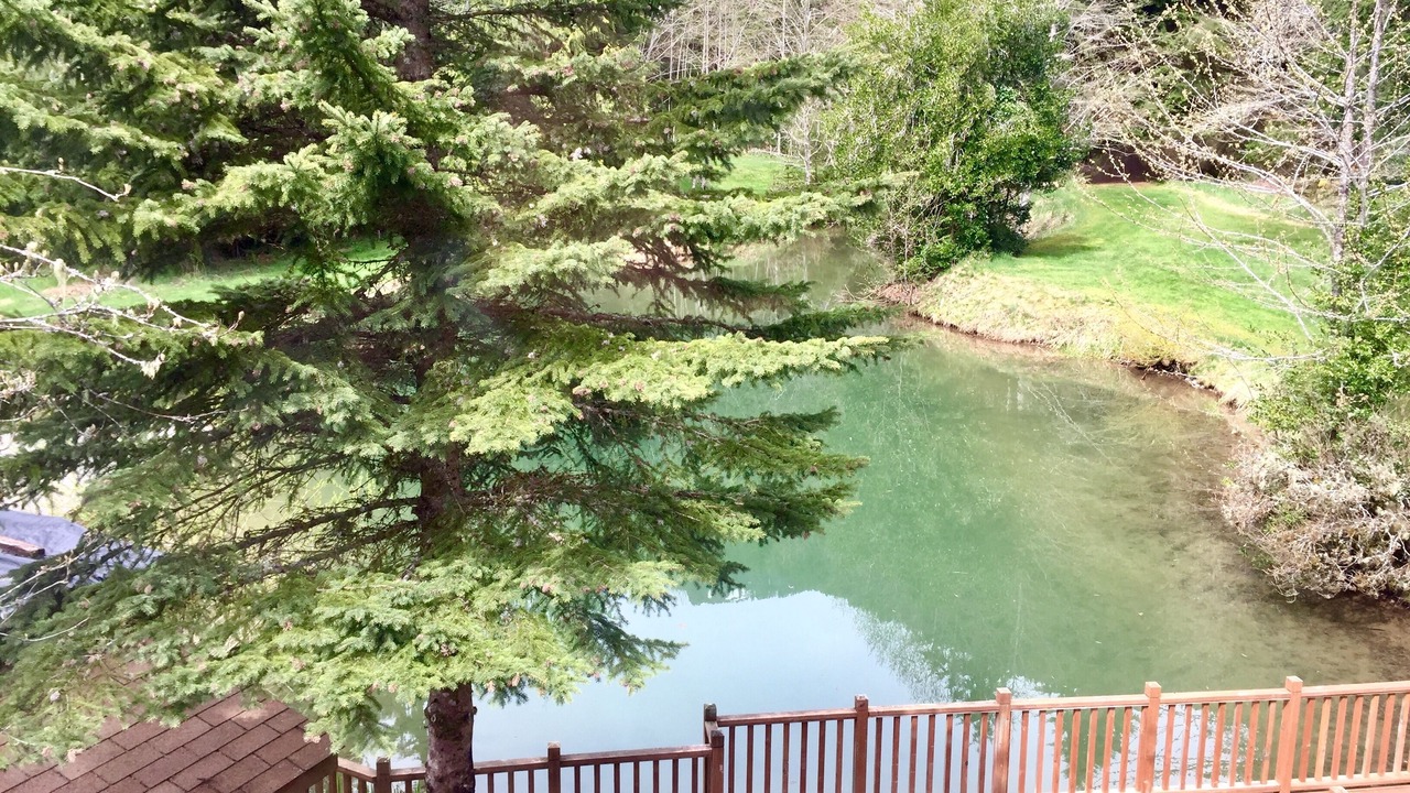 Photo of Bedroom in Ashford