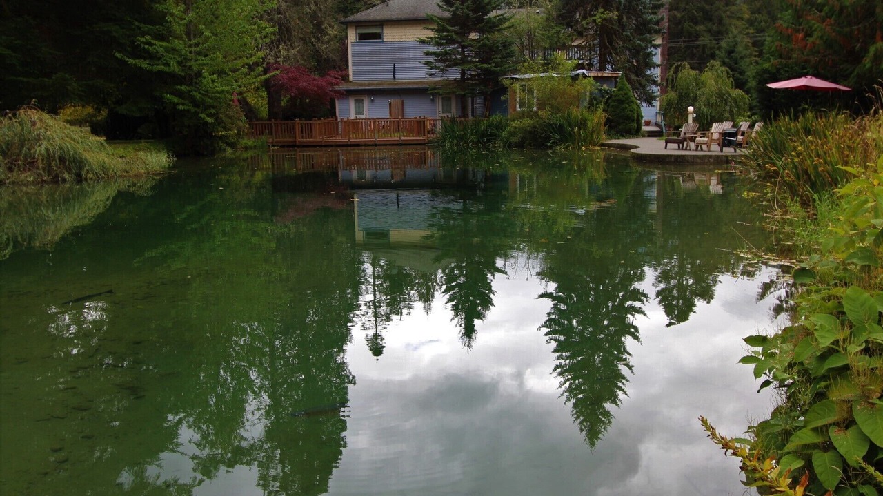 Photo of Others in Ashford