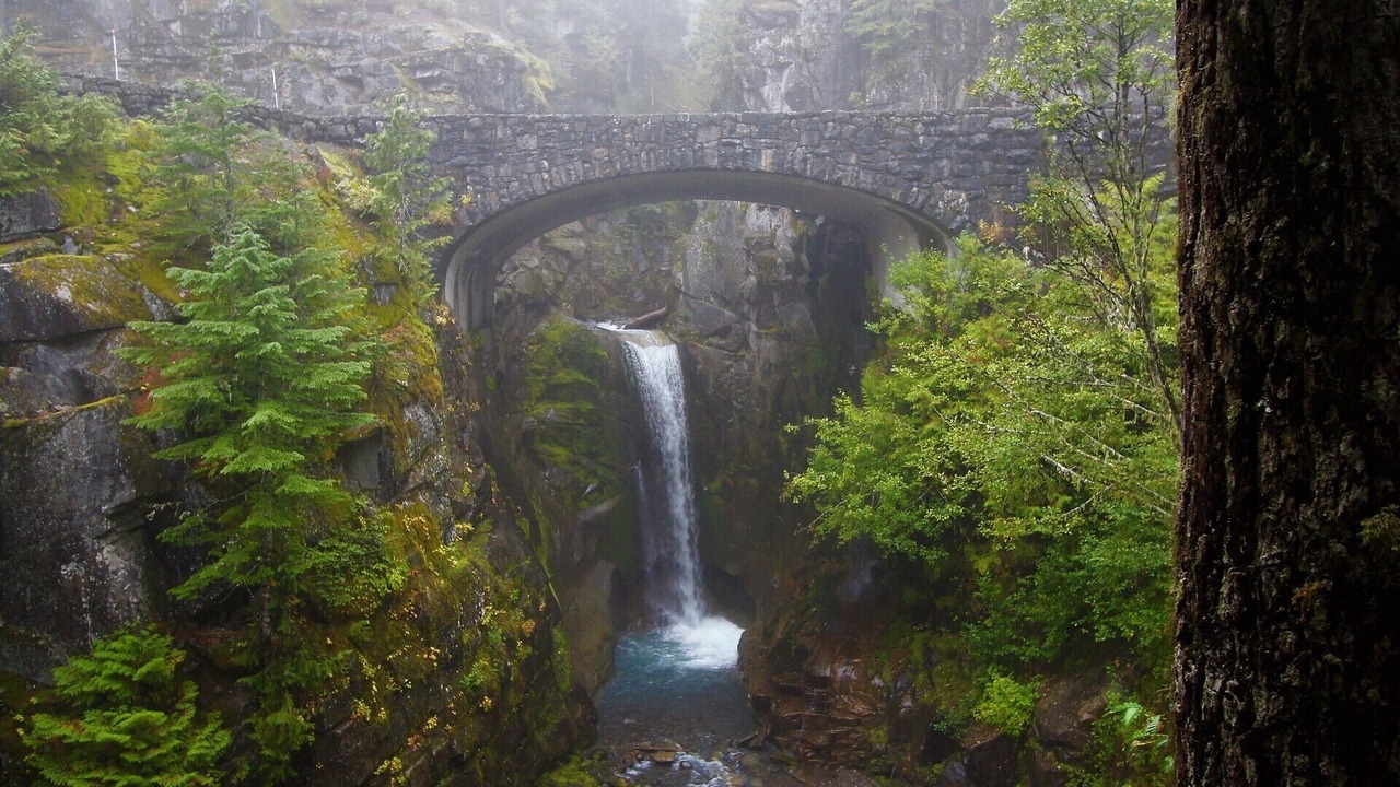 Photo of Others in Ashford