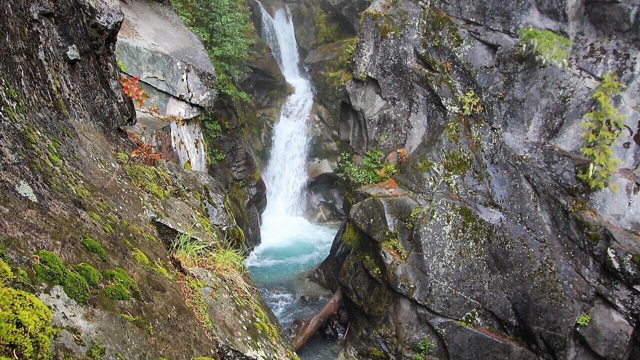 Photo of Others in Ashford