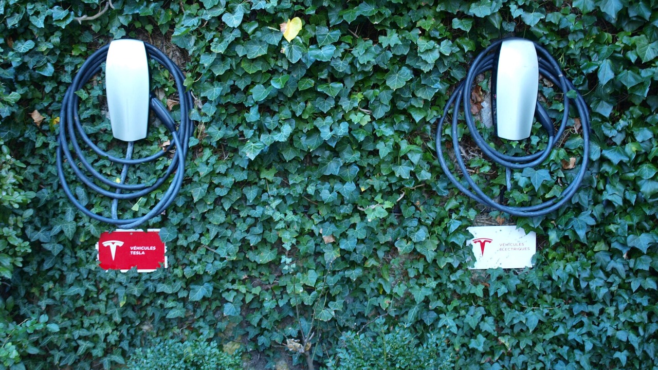 Photo of Others in Montelimar