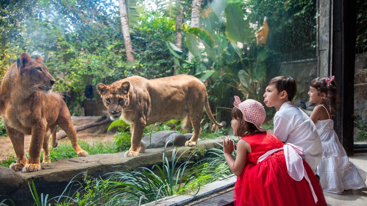 Photo of Others in Sukawati