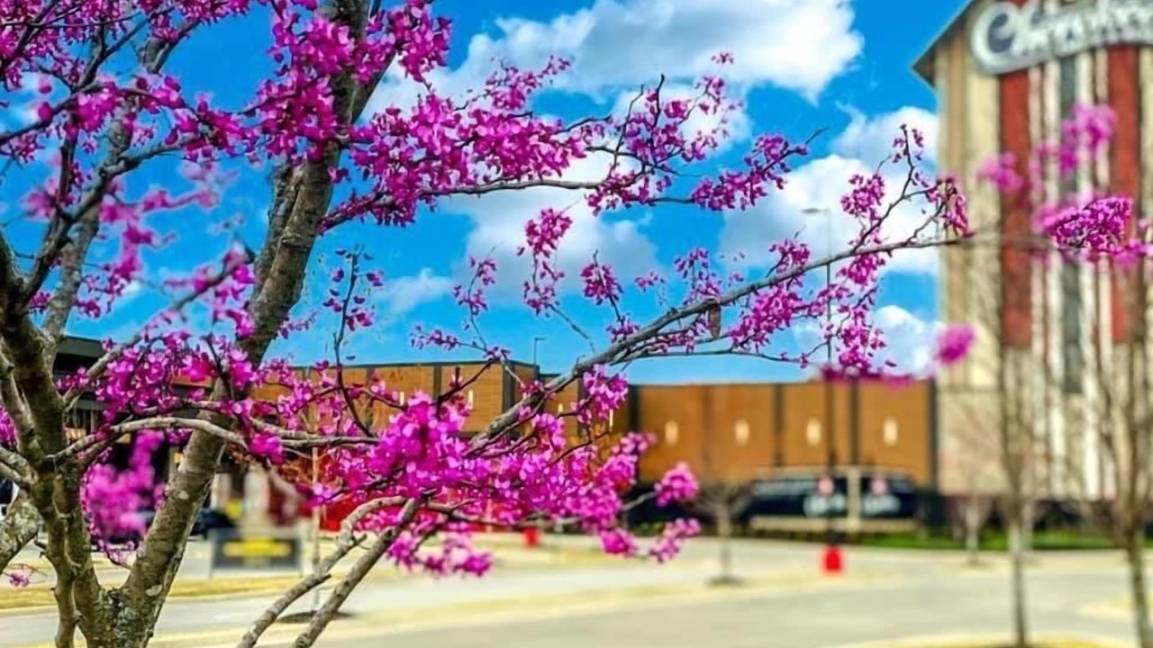 Photo of Outdoor in Roland