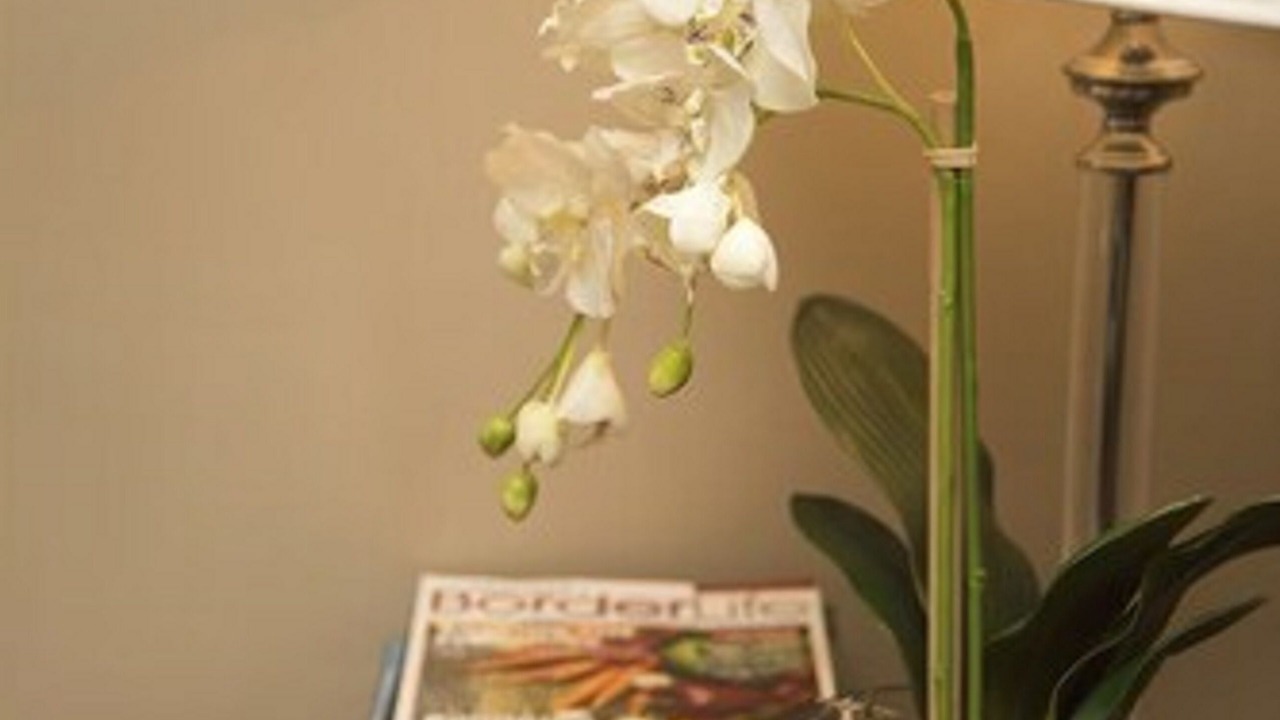 Photo of Others in Woofferton