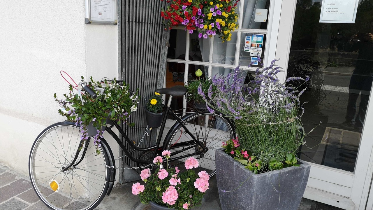 Photo of Outdoor in Chinon