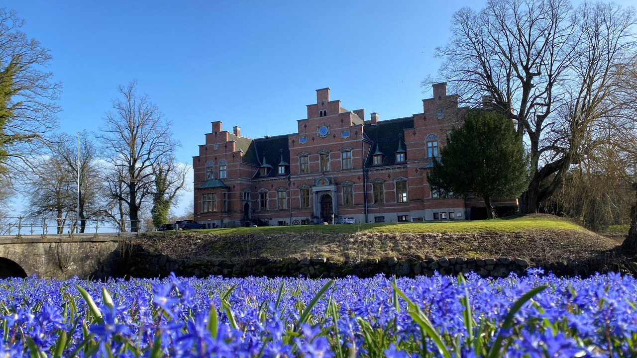 Photo of Outdoor in Toreby