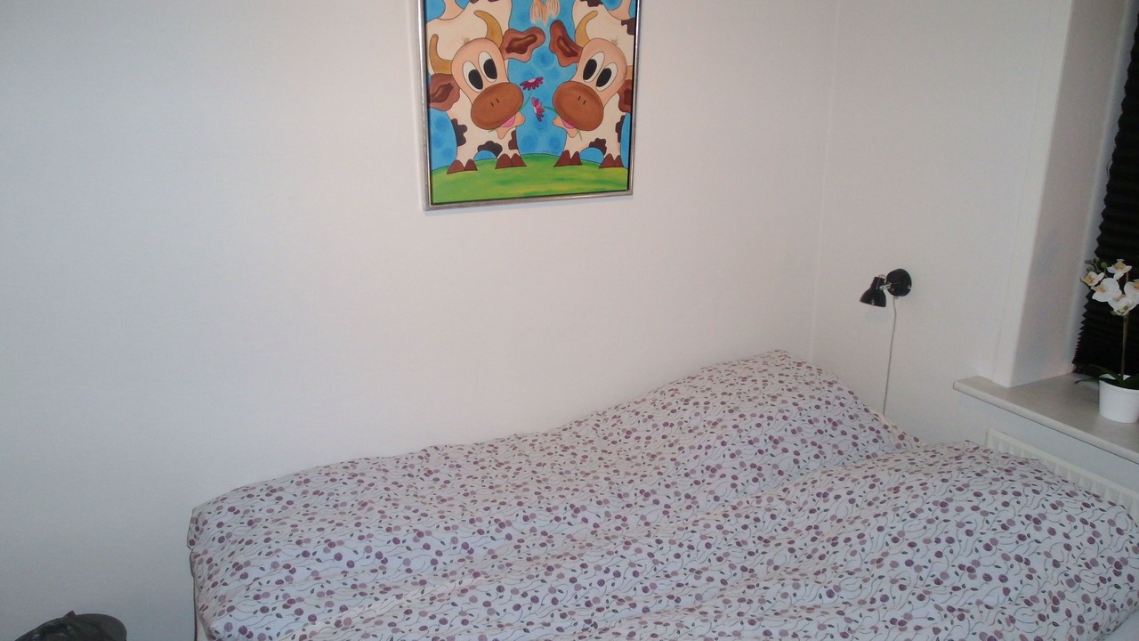 Photo of Others in Give