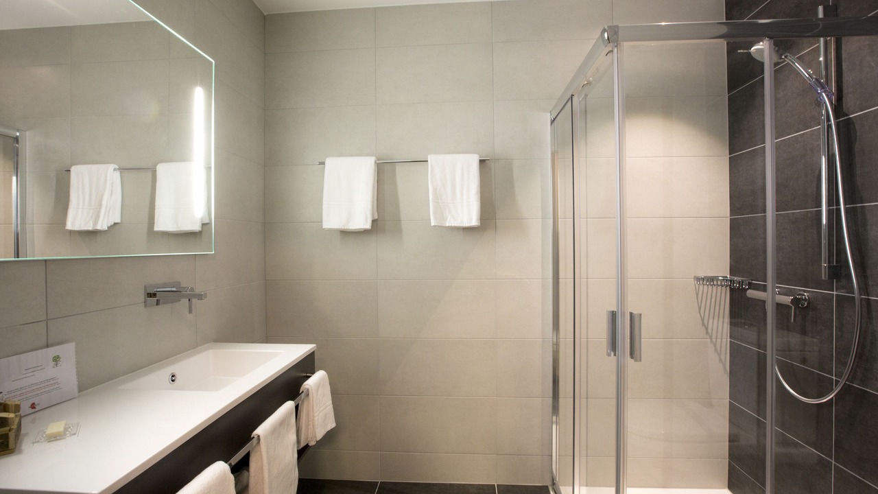 Photo of Bathroom in Martigny