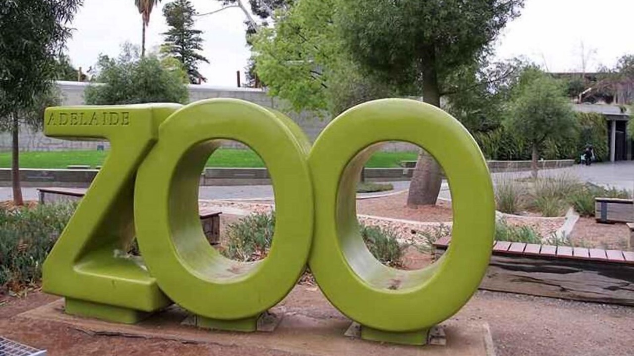 Photo of Others in Hackney