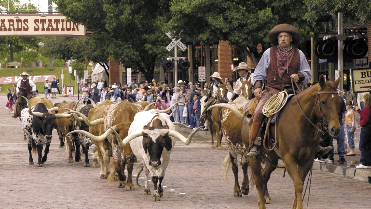 Photo of Others in Fort Worth
