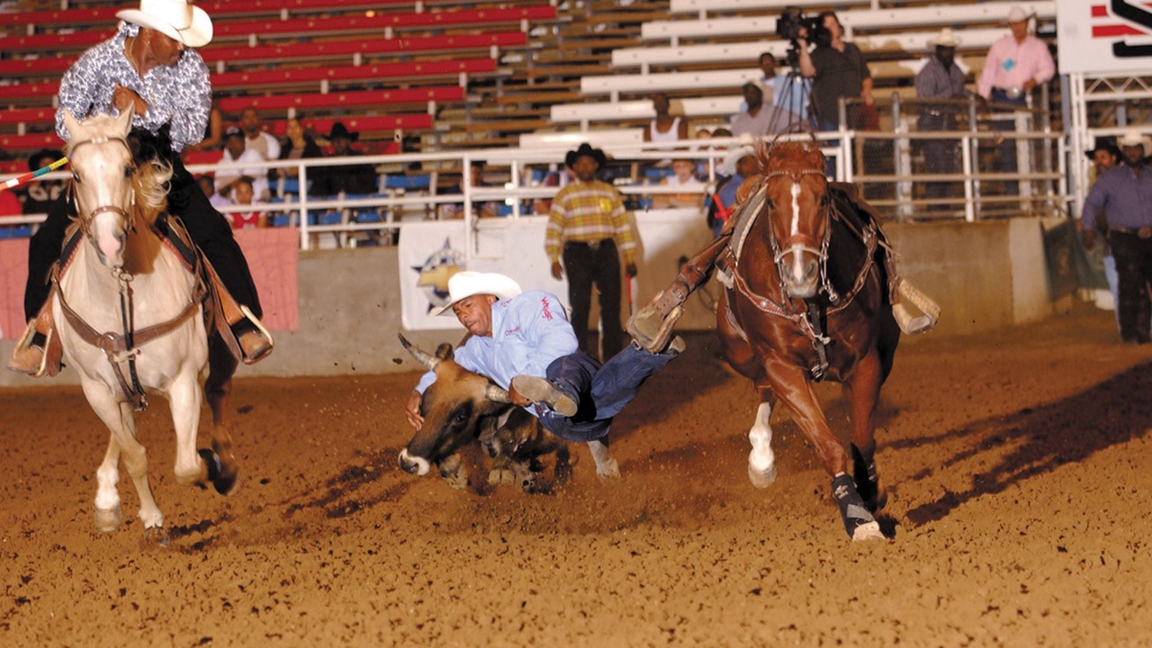 Photo of Others in Fort Worth