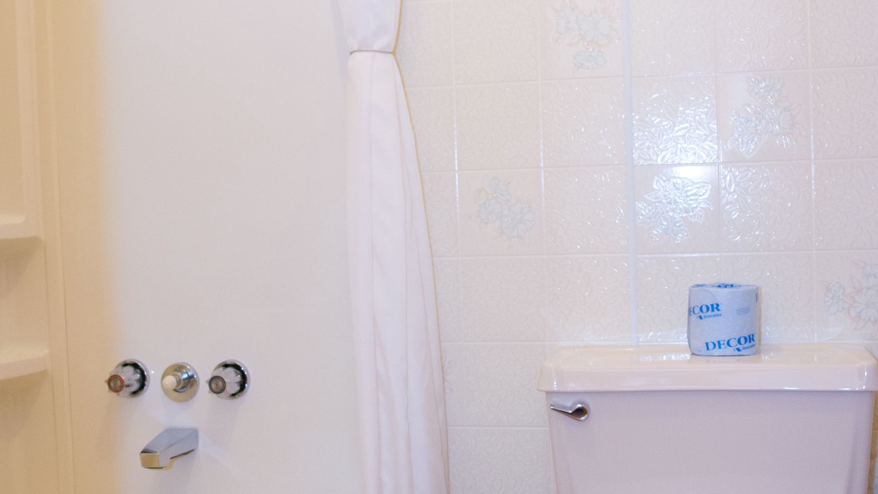 Photo of Others in Roddickton