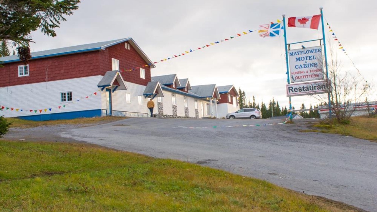 Photo of Outdoor in Roddickton