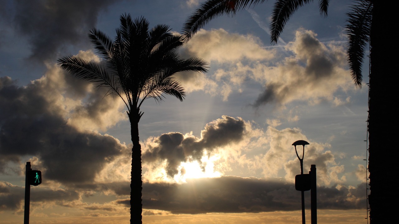 Photo of Outdoor in Cros-de-Cagnes