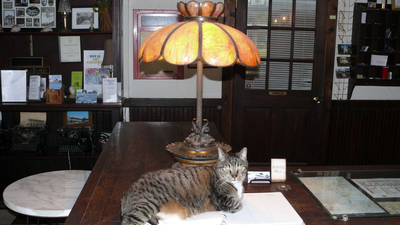 Photo of Others in St. Marys