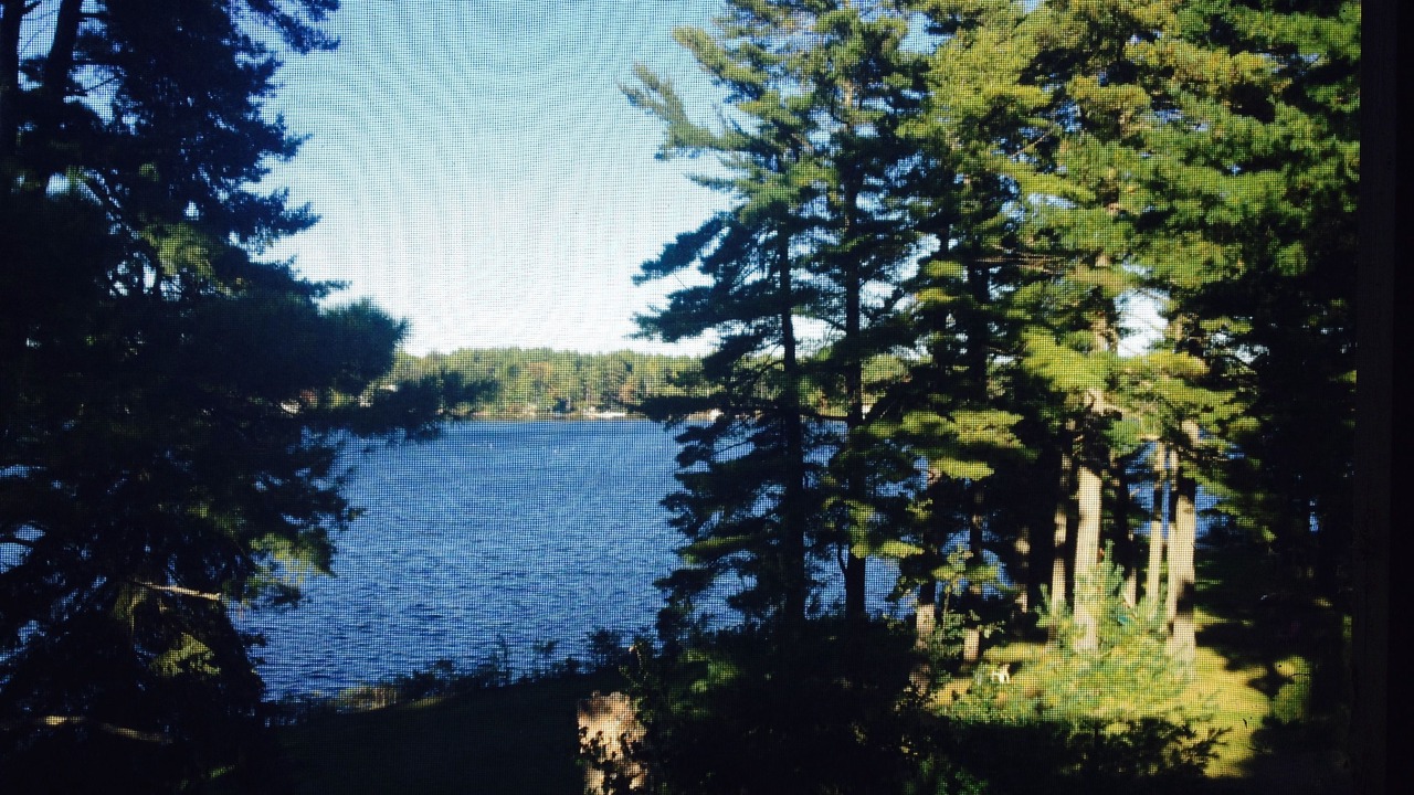 Photo of Buildings in Gravenhurst
