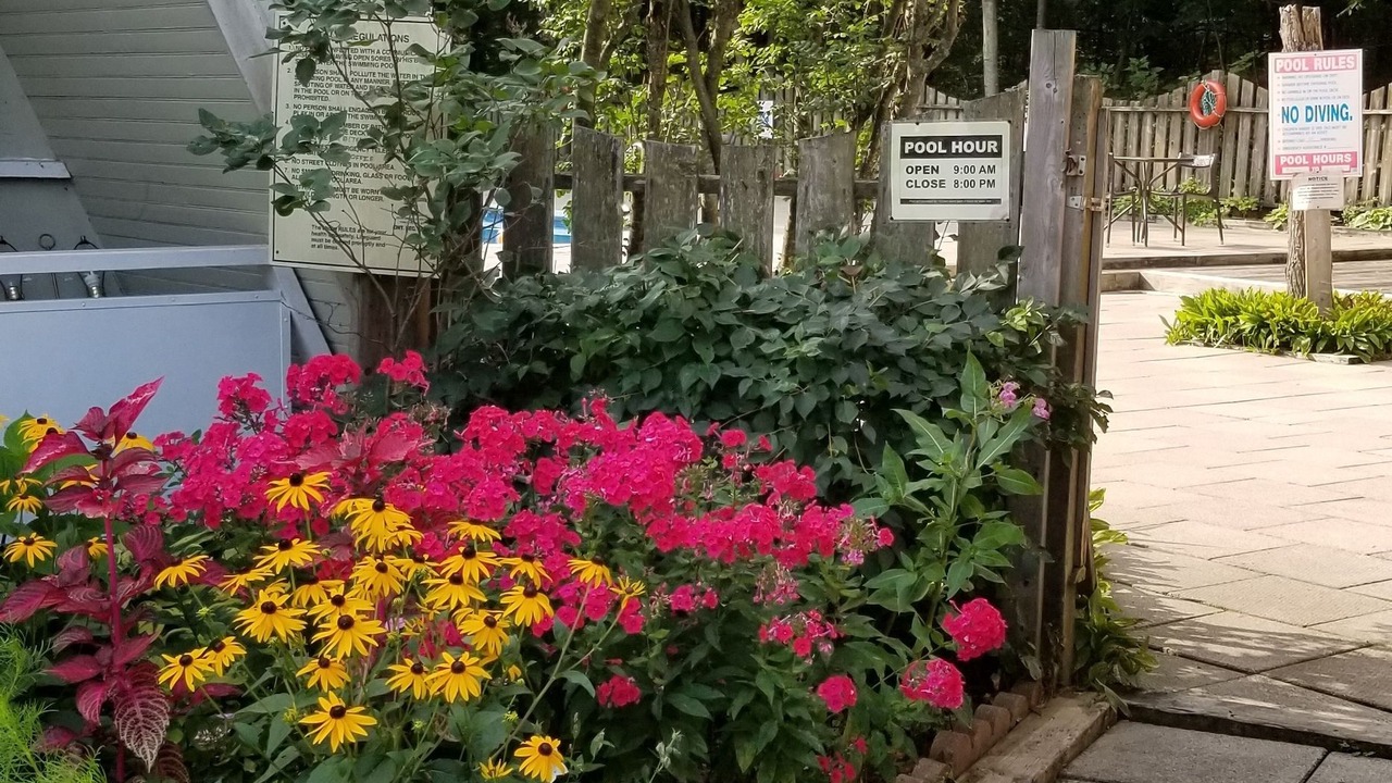 Photo of Outdoor in Gravenhurst