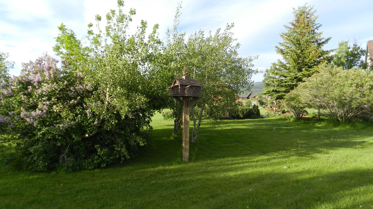 Photo of Outdoor in Victor