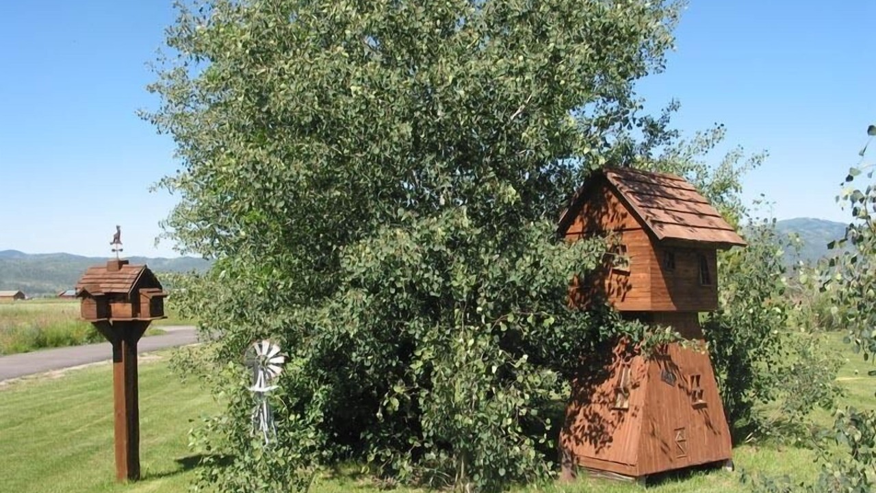 Photo of Others in Victor