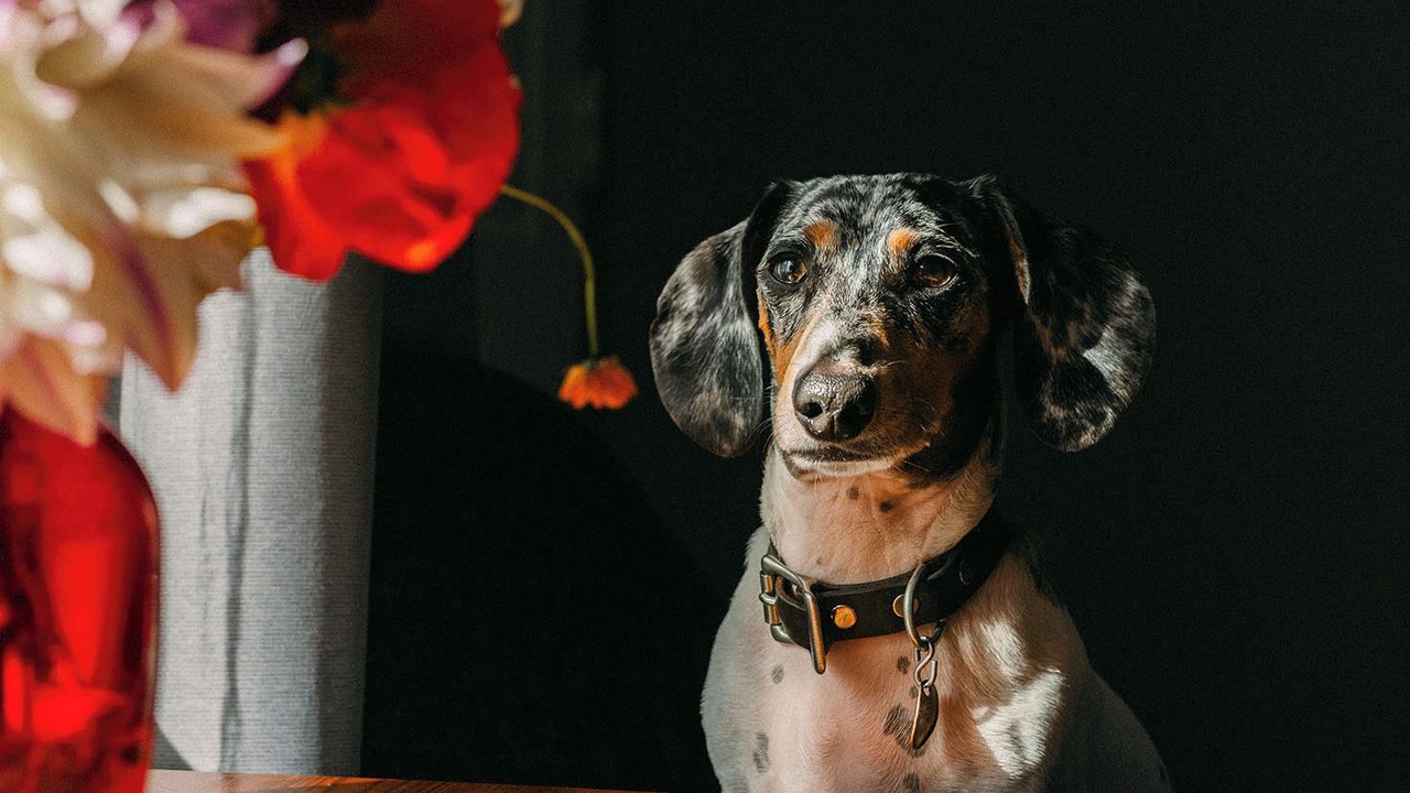 Photo of Others in Ilwaco