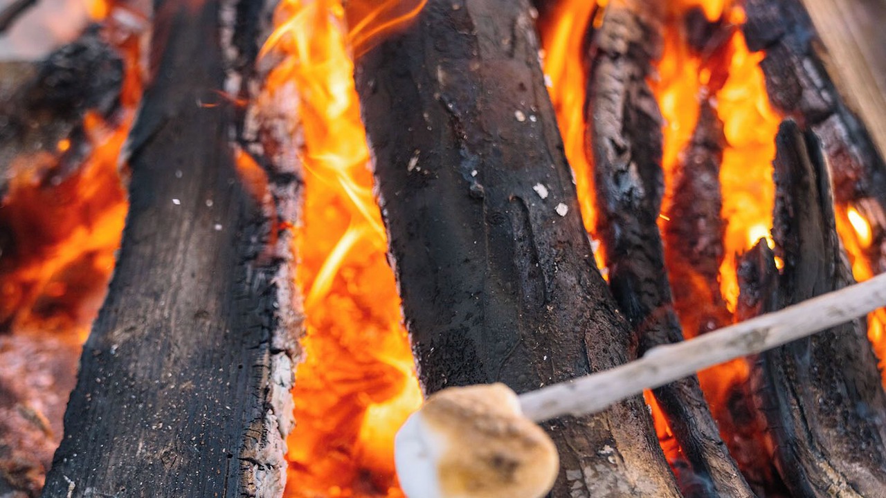 Photo of Others in Ilwaco